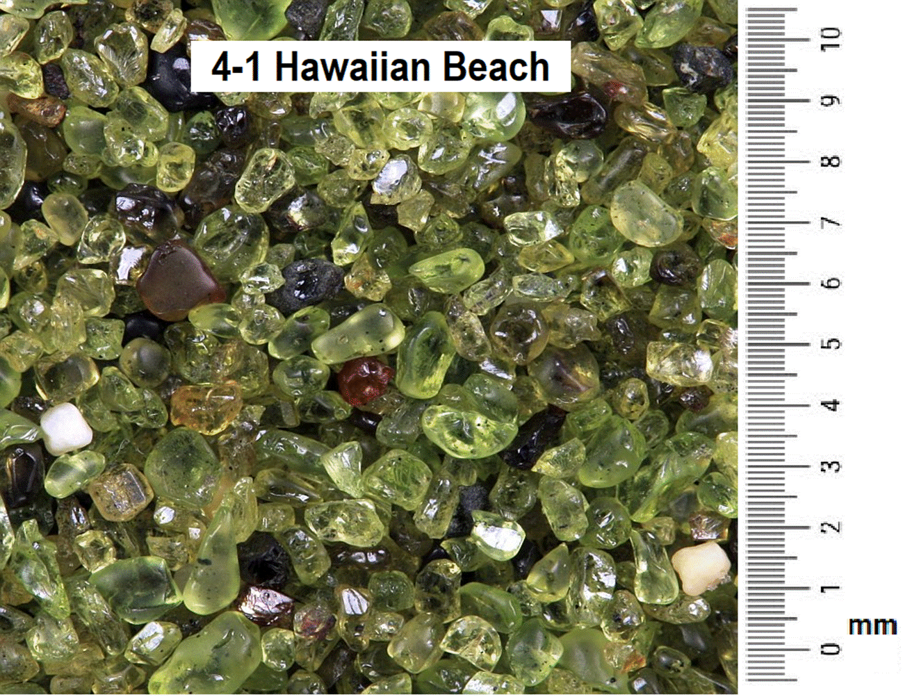 4-1_Hawaii_Beach_Sand2.png