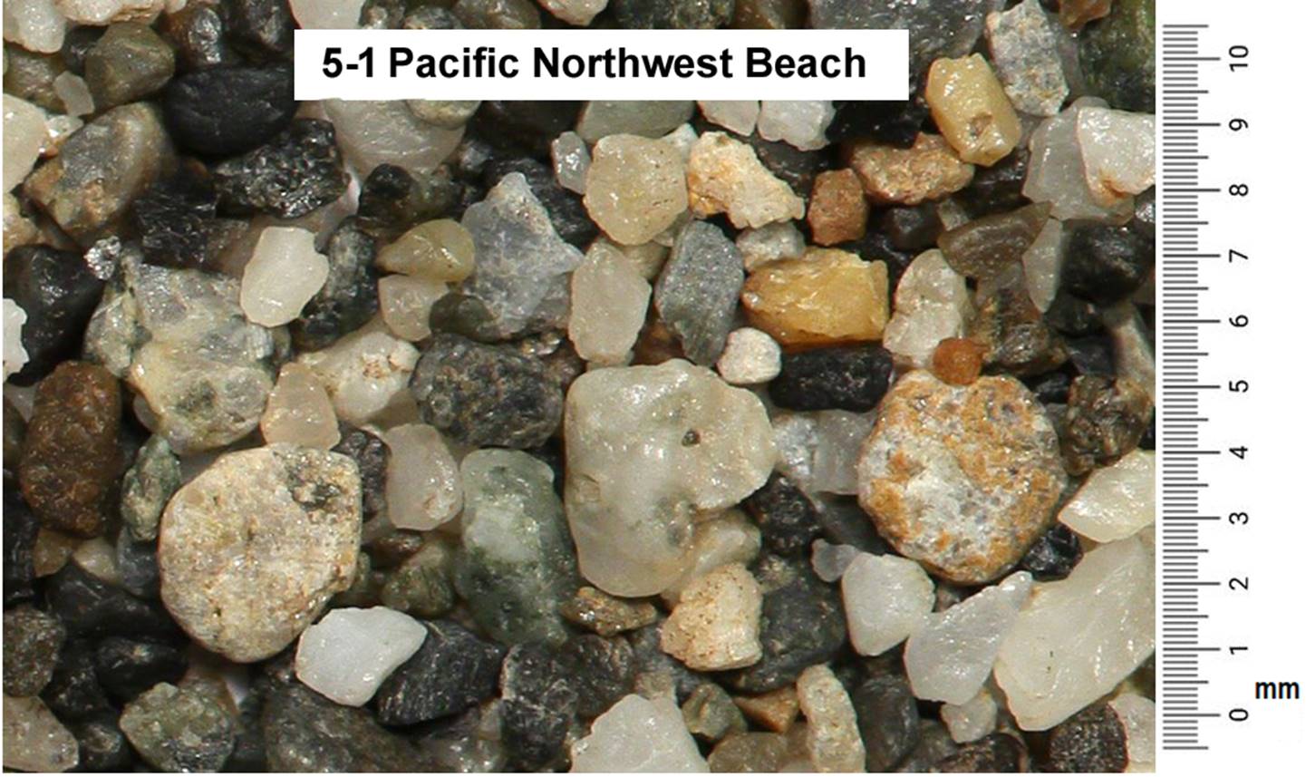 5-1_Pacific_Northwesat_Sand.png