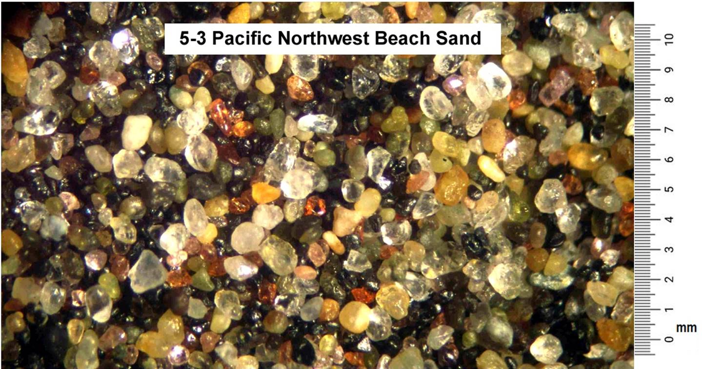 5-3_Pacific_Northwesat_Sand2.png