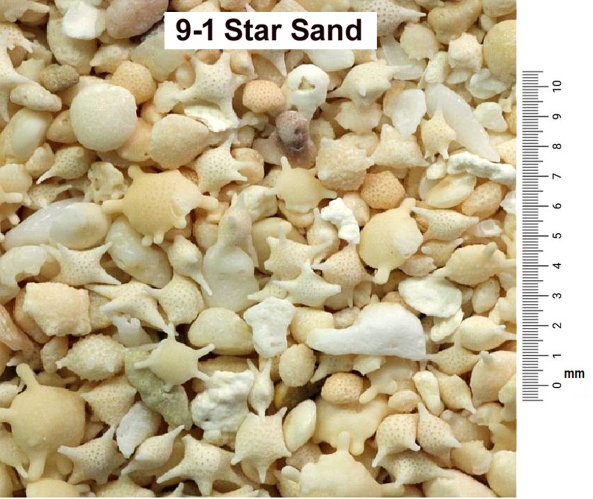 9-1_Star_Sand2.png