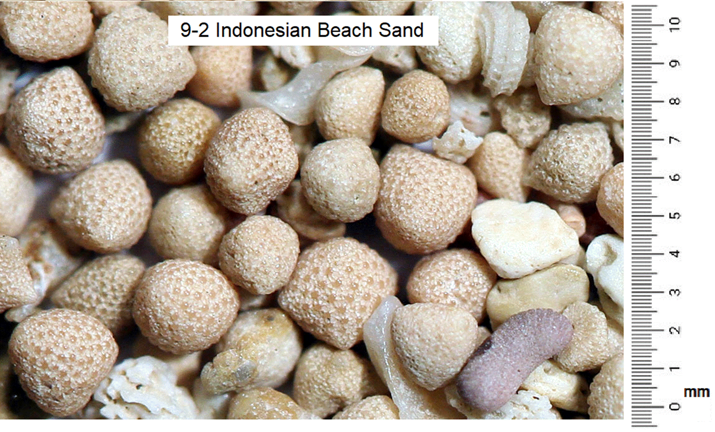 9-2_Indonesian_Beach_Sand.png