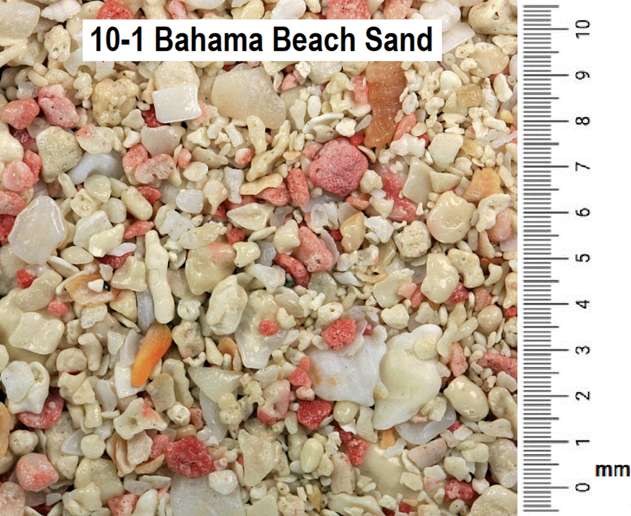 10-1_Bahama_Sand.png