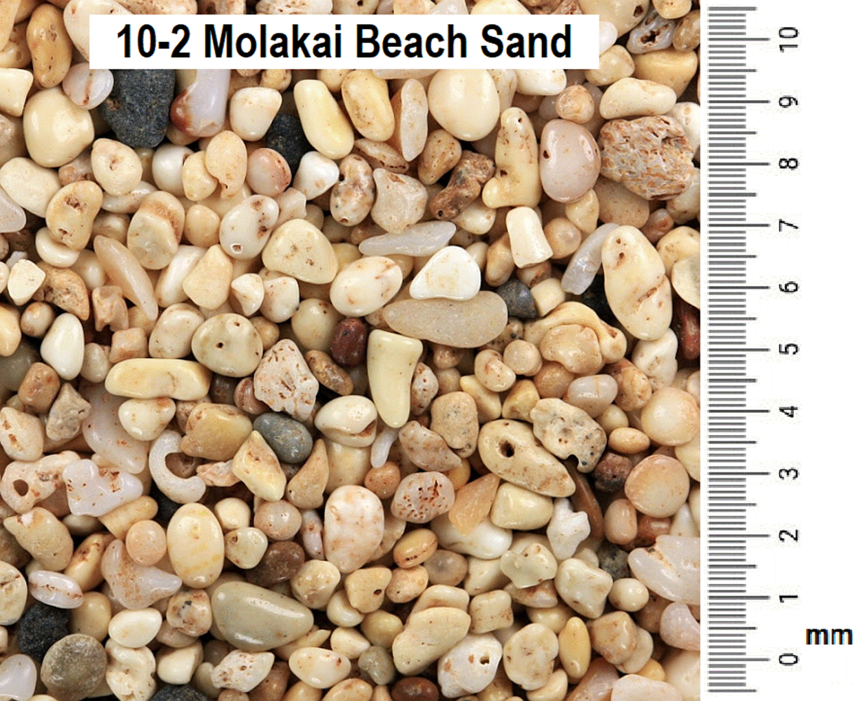 10-2_Molakai_Sand.png