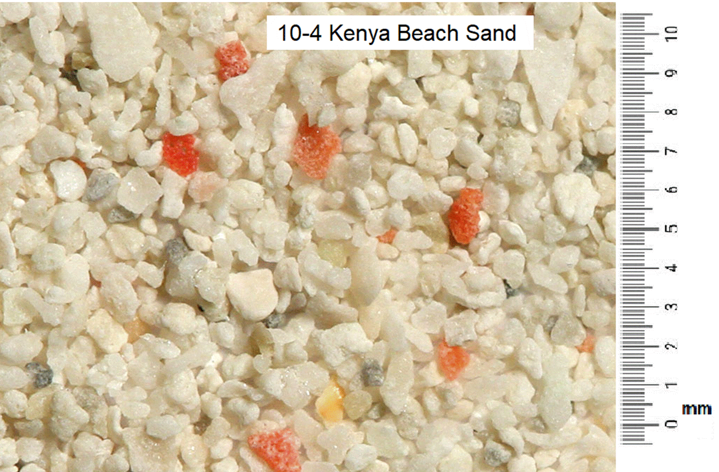 10-4_Kenya-Beach-sand.png