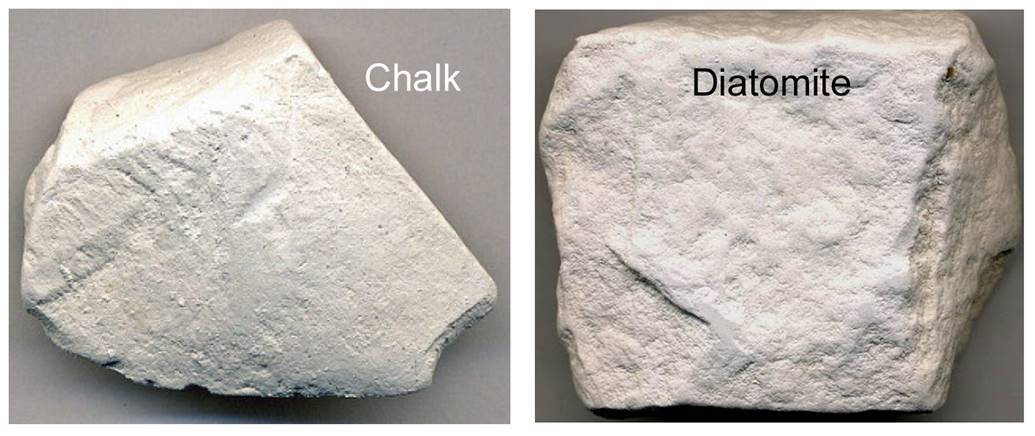 12-2_Chalk-Diatomite.png