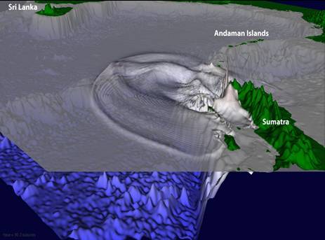 Tsunami wave field in the Bay of Bengal